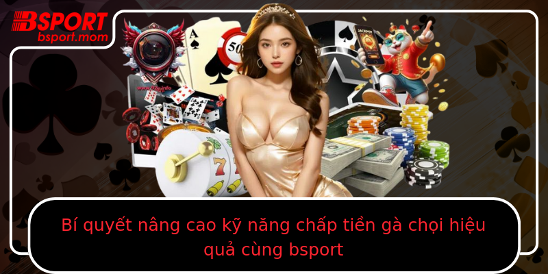 Bí quyết nâng cao kỹ năng chấp tiền gà chọi hiệu quả cùng bsport