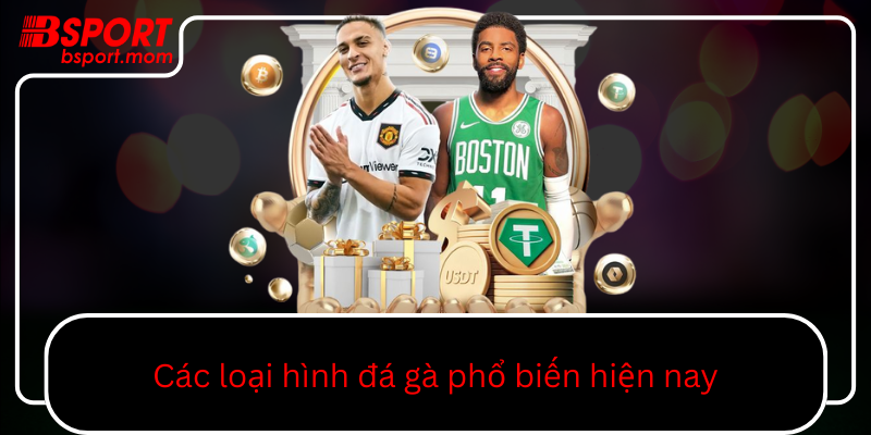 Cac Loai Hinh Da Ga Pho Bien Hien Nay0