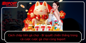 Cach Chap Tien Ga Choi Bi Quyet Chien Thang Trong Ca Cuoc Cuoc Ga Choi Cung Bsport