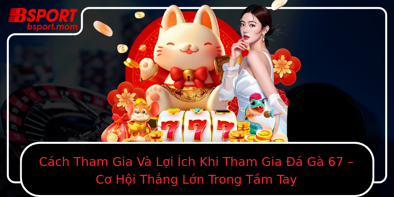 Cách Tham Gia Và Lợi Ích Khi Tham Gia Đá Gà 67 – Cơ Hội Thắng Lớn Trong Tầm Tay