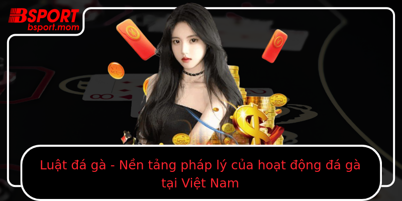 Luật đá gà - Nền tảng pháp lý của hoạt động đá gà tại Việt Nam