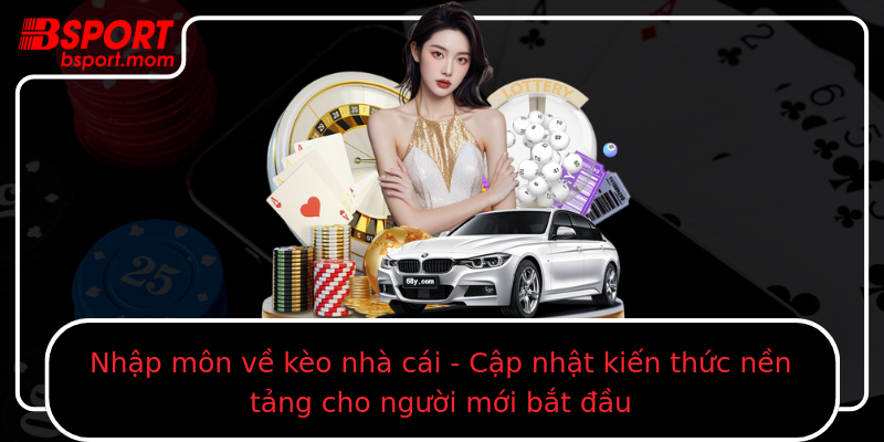 Nhập môn về kèo nhà cái - Cập nhật kiến thức nền tảng cho người mới bắt đầu