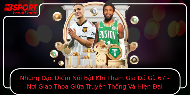Những Đặc Điểm Nổi Bật Khi Tham Gia Đá Gà 67 - Nơi Giao Thoa Giữa Truyền Thống Và Hiện Đại