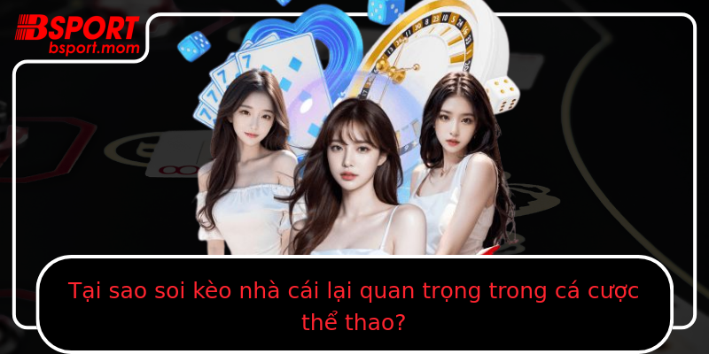Tại sao soi kèo nhà cái lại quan trọng trong cá cược thể thao?