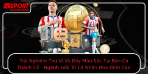 Trai Nghiem Thu Vi Va Ay Mau Sac Tai Ban Ca Thanh Co Nganh Giai Tri Ca Nhan Hoa Inh Cao