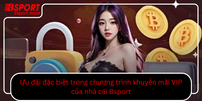 Uu Dai Dac Biet Trong Chuong Trinh Khuyen Mai Vip Cua Nha Cai Bsport0